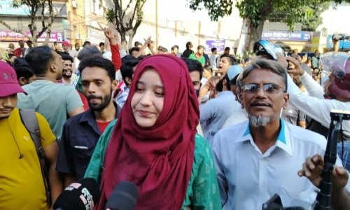 毒芹入药是根还是茎叶-【毒芹入药是根还是茎叶】毒水芹菜的区别 - 毒芹水毒芹区别网